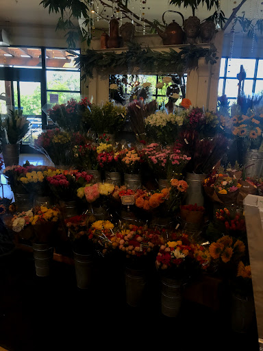 Natural Foods Store «Good Earth Natural Foods», reviews and photos, 720 Center Blvd, Fairfax, CA 94930, USA