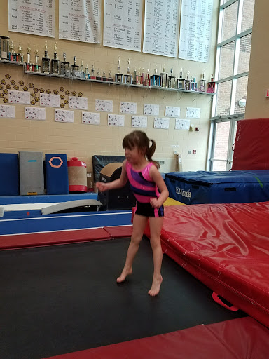 Recreation Center «Jack E. Kirksey Livonia Community Recreation Center», reviews and photos, 15100 Hubbard, Livonia, MI 48154, USA