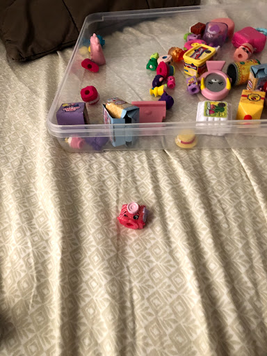 Fabric Store «Jo-Ann Fabrics and Crafts», reviews and photos, 75 Colma Blvd, Colma, CA 94014, USA