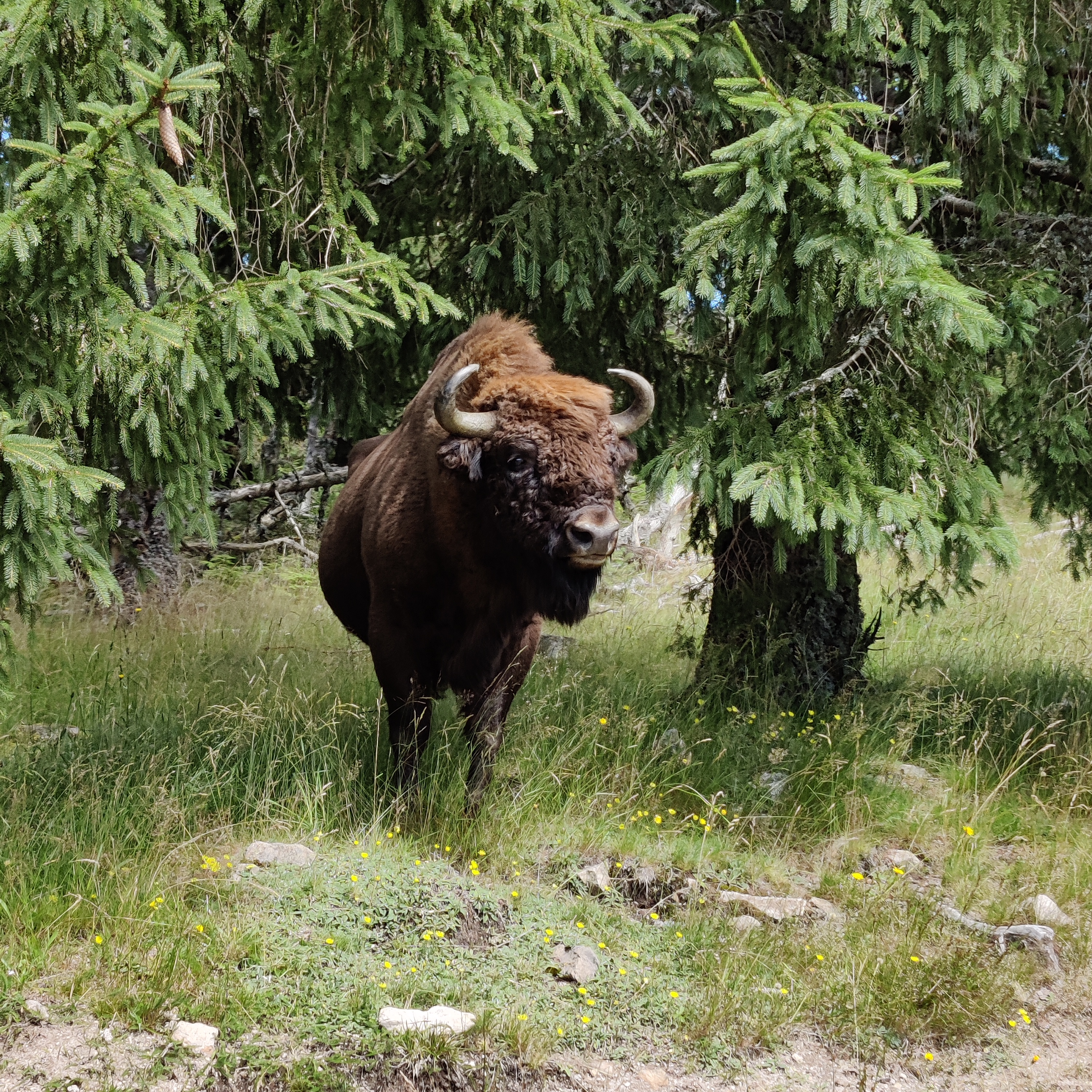 Photo n° 1 de l'avis de Lauriane.o fait le 06/08/2021 à 15:07