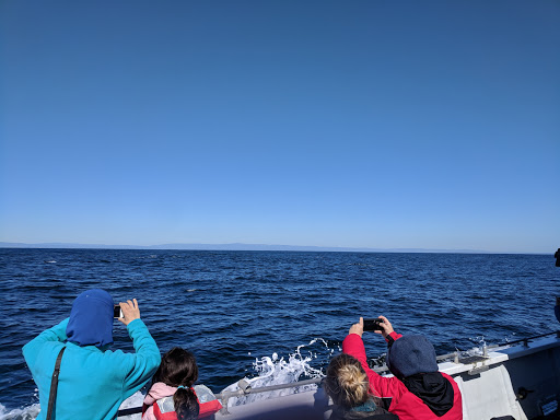 Golf Course «Poppy Hills Golf Course», reviews and photos, 3200 Lopez Rd, Pebble Beach, CA 93953, USA