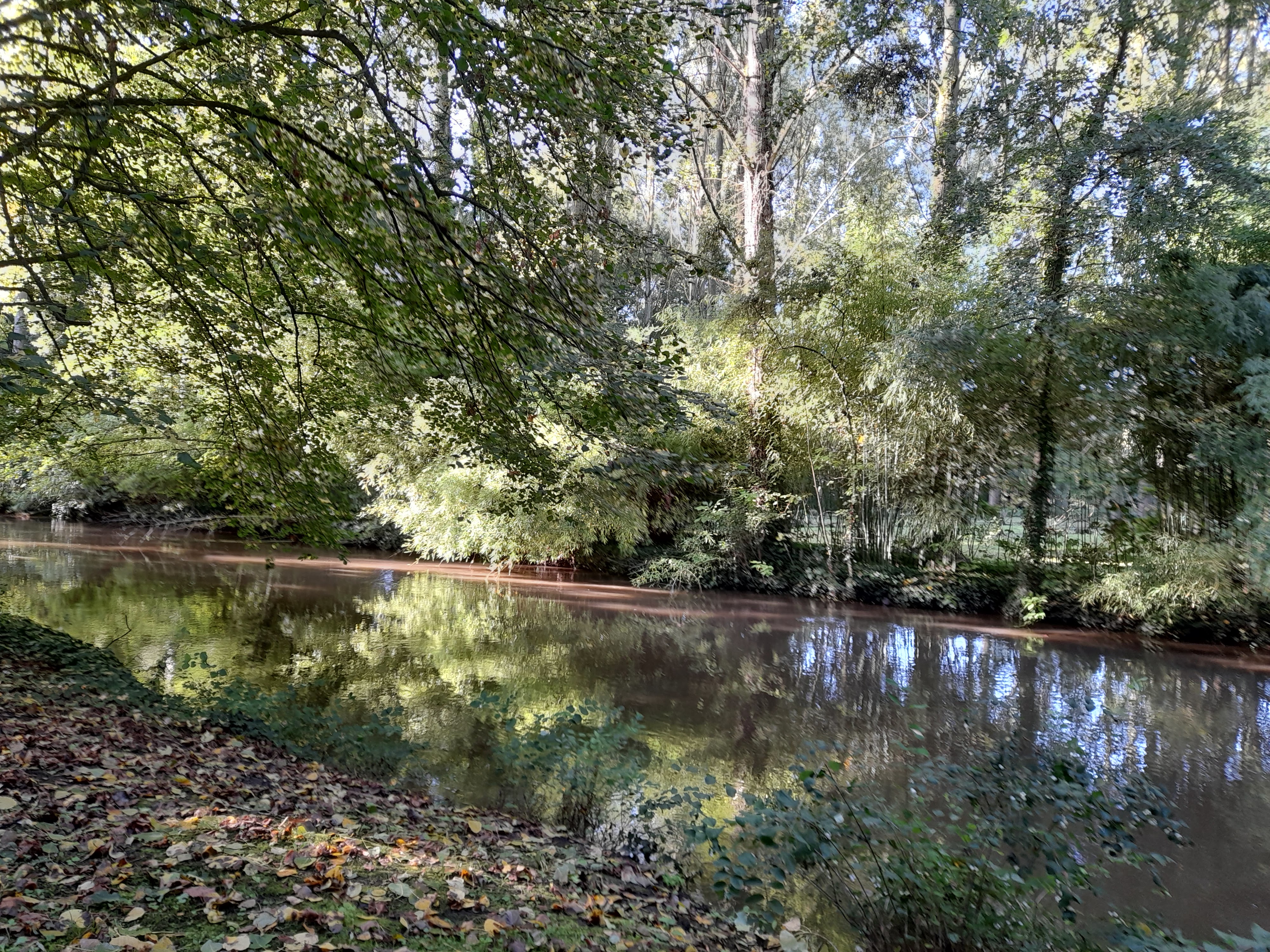 Photo n° 4 de l'avis de Brousse.r fait le 18/11/2021 à 12:05