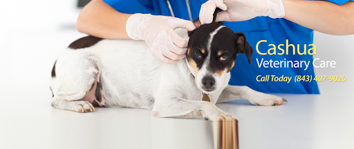 Cashua Veterinary Care image