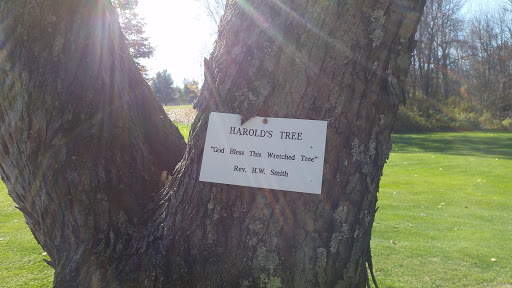 Golf Course «Windy Hills Golf Course», reviews and photos, 219 Windy Hill Rd, Greenwich, NY 12834, USA