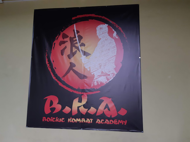 Boiciuc Kombat Academy - <nil>