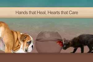 Veterinary Healing Center of El Dorado Hills image