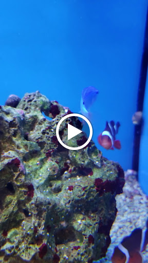 Pet Supply Store «Petco Animal Supplies», reviews and photos, 1412 S Main Chapel Way, Gambrills, MD 21054, USA