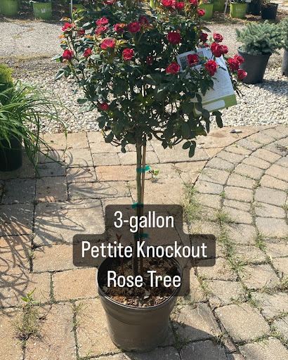 Landscaping Supply Store «Kirkwood Gardens», reviews and photos, 2701 Barrett Station Rd, Ballwin, MO 63021, USA