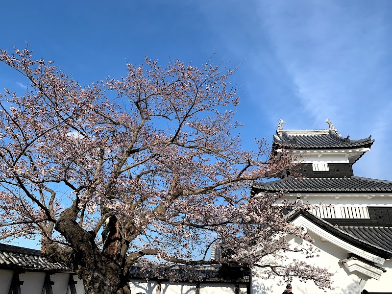 白河小峰城 道場門跡