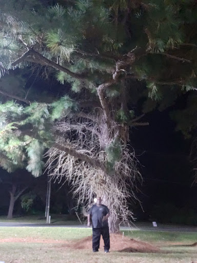 Convenience Store «Royal Farms», reviews and photos, 33620 Chincoteague Rd, Wallops Island, VA 23337, USA