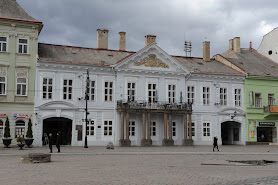 Csáky - Dezőfiho palác