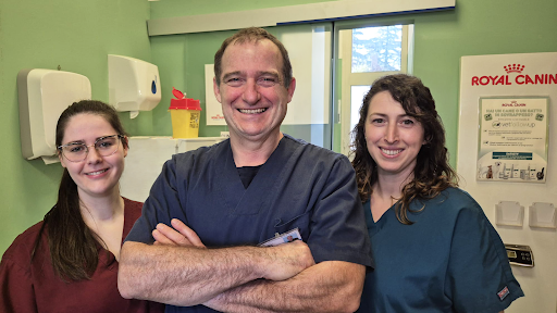 Pensioni per cani e dog hotel a Clinica Veterinaria Sasso Marconi del Dr. Amati Alessandro