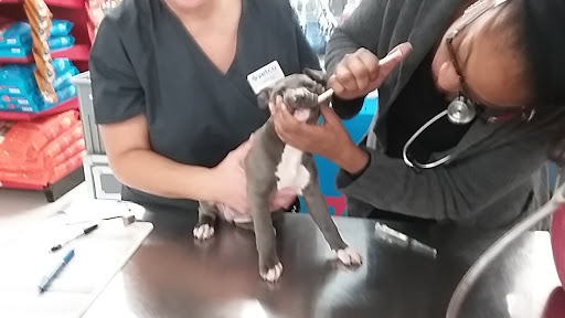 Pet Supply Store «Petco Animal Supplies», reviews and photos, 1014 Shoppes At Midway Dr, Knightdale, NC 27545, USA