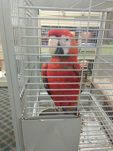 Pet Store «Wet Pets», reviews and photos, 1712 Montgomery Hwy, Dothan, AL 36303, USA