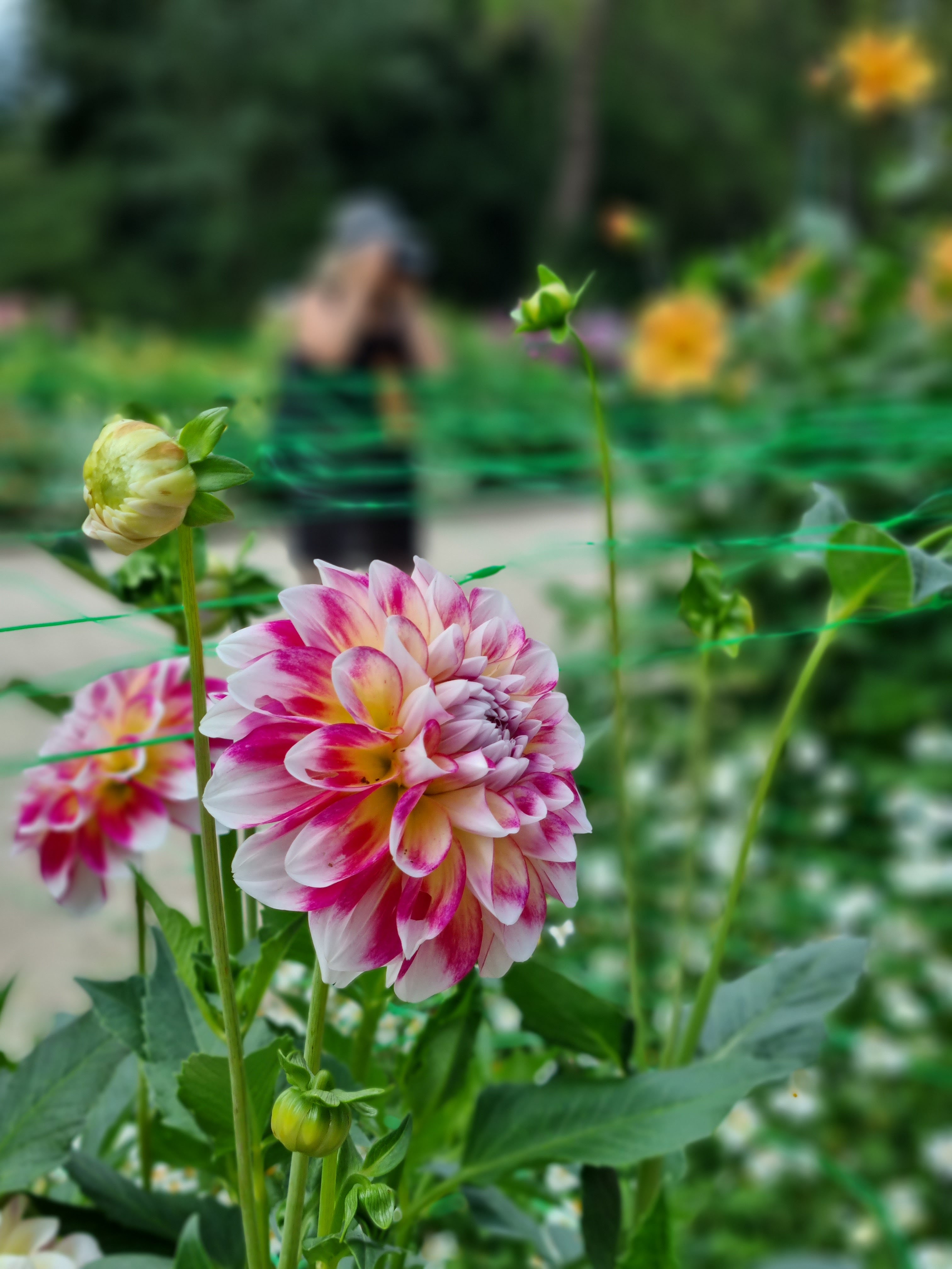 Photo n° 1 de l'avis de Nafisa.o fait le 17/11/2019 à 11:39