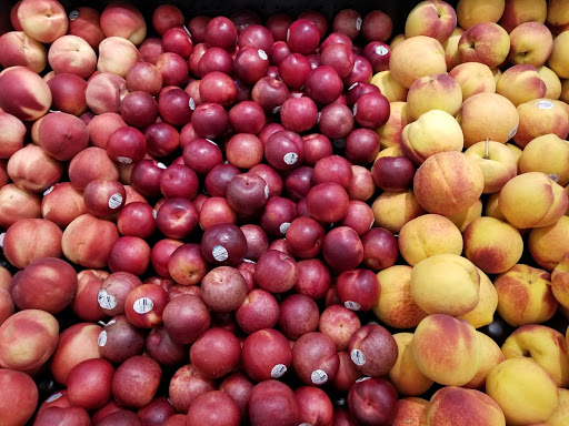 Grocery Store «Food Lion», reviews and photos, 22485 Lankford Hwy, Cape Charles, VA 23310, USA