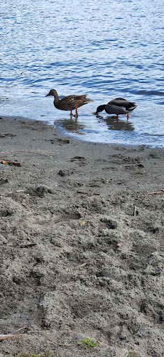 Park «Viretta Park», reviews and photos, 151 Lake Washington Blvd E, Seattle, WA 98112, USA