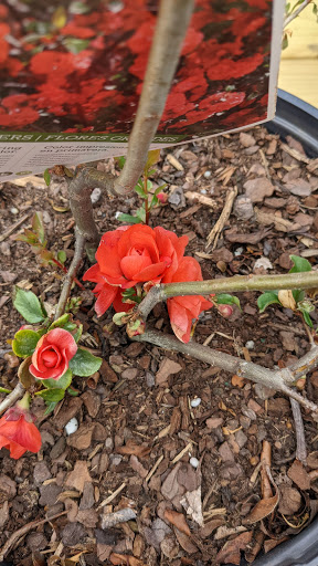 Home Improvement Store «The Home Depot», reviews and photos, 816 Hartford Turnpike, Waterford, CT 06385, USA