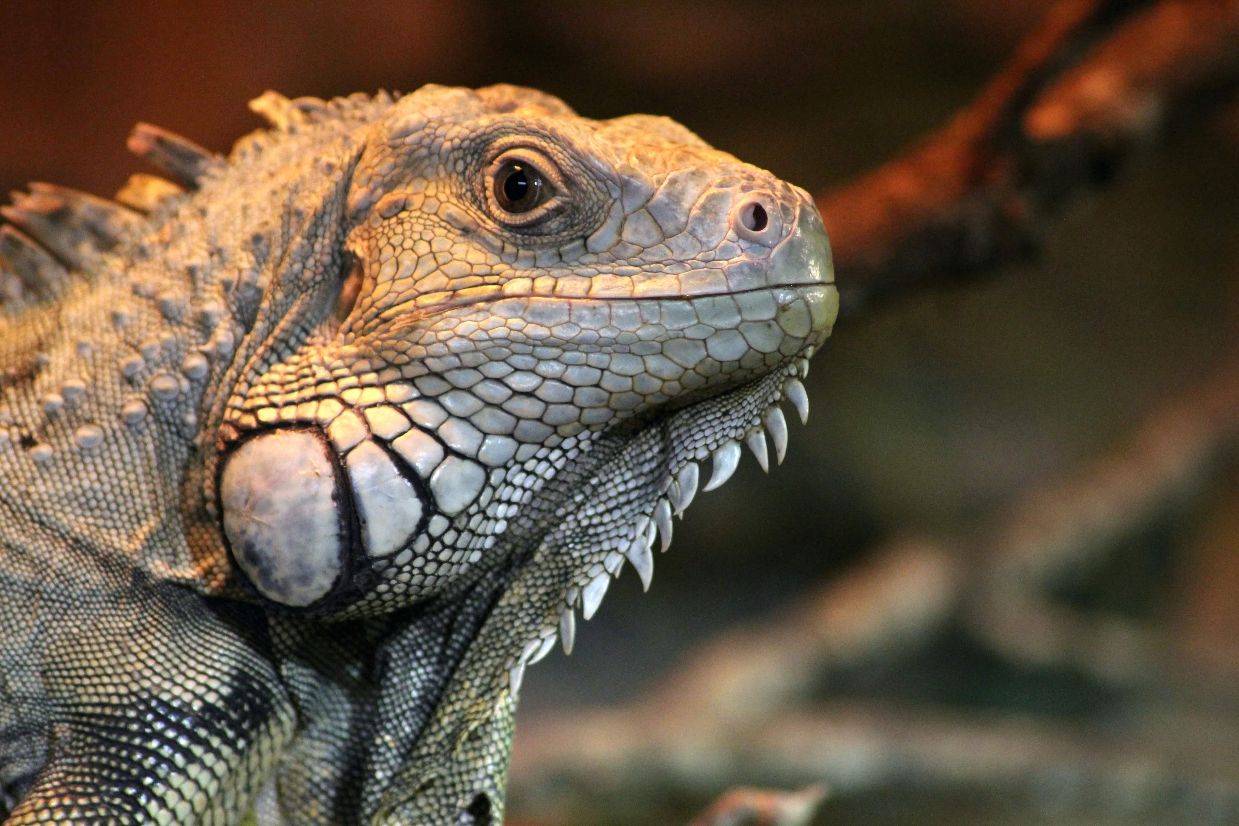 Photo n° 1 de l'avis de Aurore.u fait le 17/08/2020 à 07:24