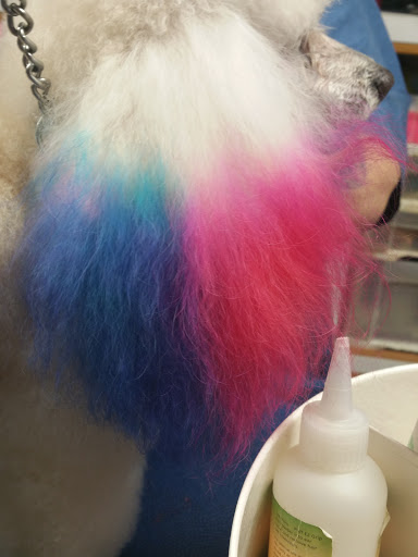 Pet Groomer «Dog House Grooming Shop», reviews and photos, 103 Mohawk Dr, Portsmouth, VA 23701, USA