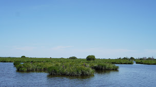 Photo n°89 de LES CANAILLES DU MARAIS - restaurant - traiteur - livraison de plateaux repas à Saint-Lyphard ()