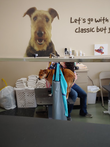 Pet Supply Store «Pet Supplies Plus», reviews and photos, 7467 St Andrews Rd, Irmo, SC 29063, USA