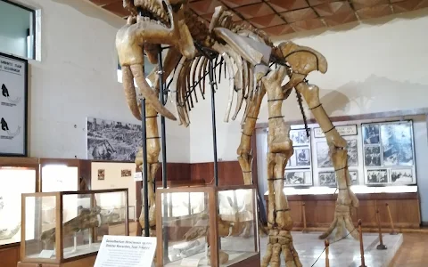Paleontological Museum of Asenovgrad image