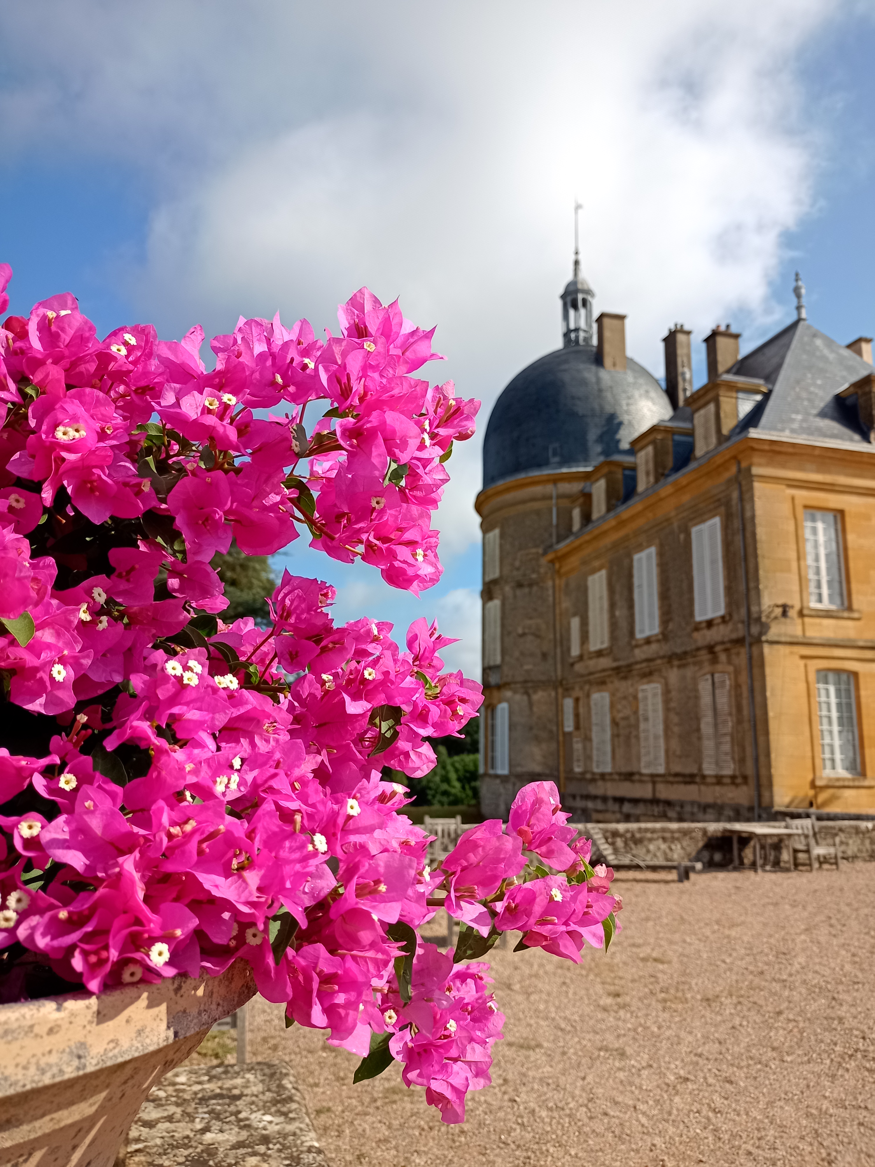 Photo n° 1 de l'avis de sonia.e fait le 17/08/2022 à 10:17