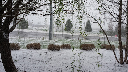 Park «Richard Siegel Park», reviews and photos, 515 Cherry Ln Dr, Murfreesboro, TN 37129, USA