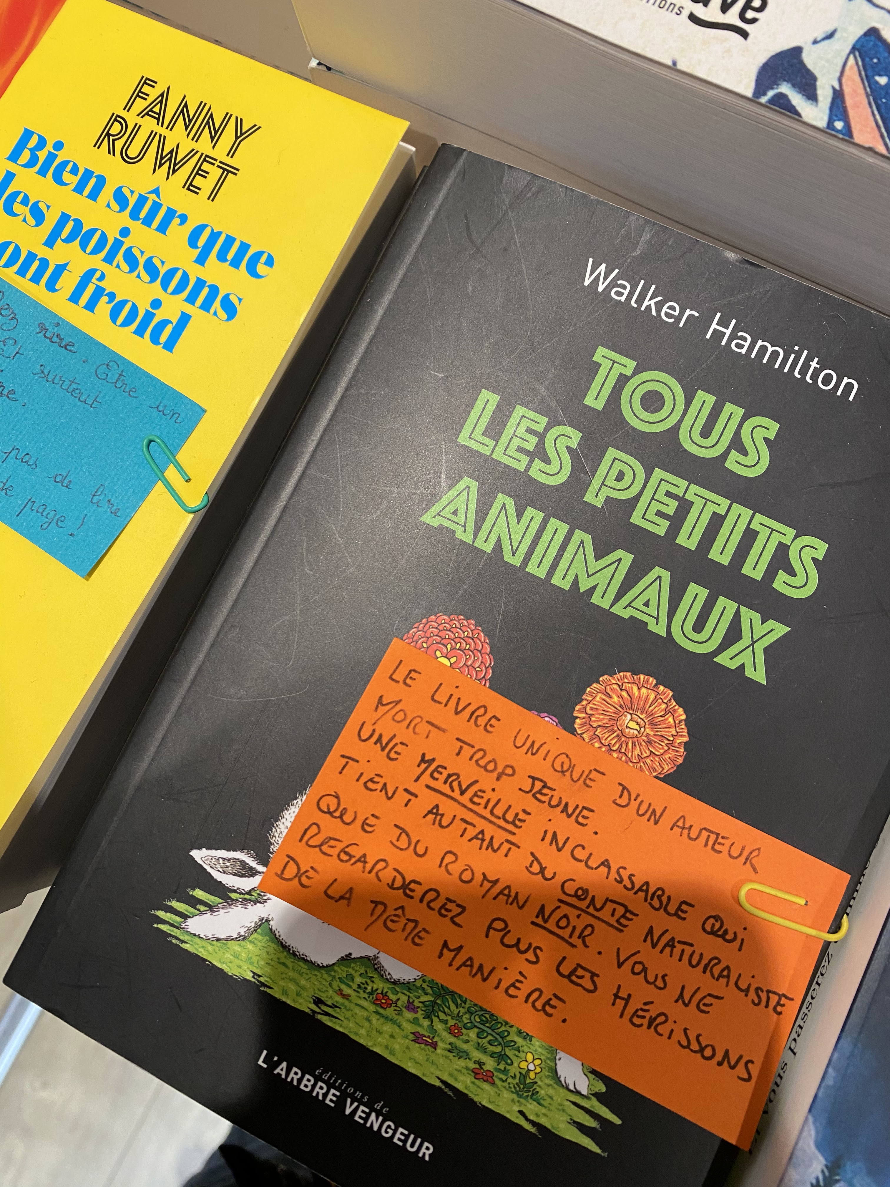 Photo n° 1 de l'avis de Yvon.u fait le 30/10/2023 à 14:39