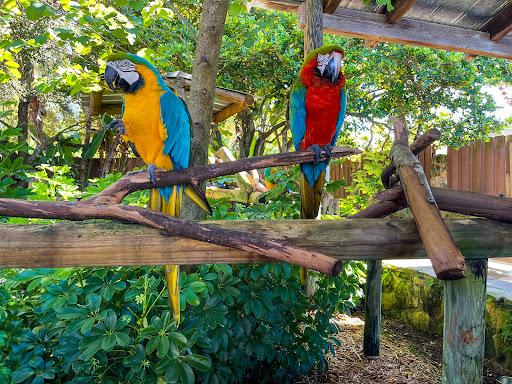 Amusement Park «Gatorland», reviews and photos, 14501 S Orange Blossom Trail, Orlando, FL 32837, USA