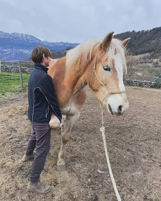 Ostéopathe Animalier Nathalie Barraud à Tournus