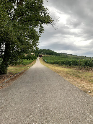 Extérieur Vacances à la ferme Agriturismo Casa La Colombaia 50025 Montespertoli