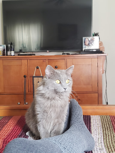 Pet Supply Store «Petco Animal Supplies», reviews and photos, 12641-310 Ocean Gateway, Ocean City, MD 21842, USA