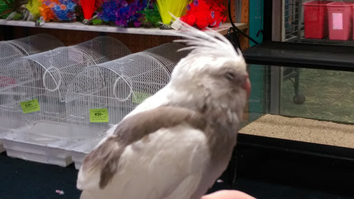 Pet Store «Birds & Beasts Pet Shop», reviews and photos, 35 Berkshire Dr # 18, Crystal Lake, IL 60014, USA