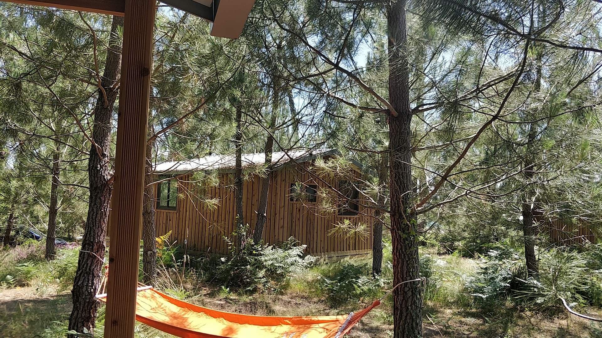 Photo n° 1 de l'avis de S. fait le 15/07/2019 à 13:31