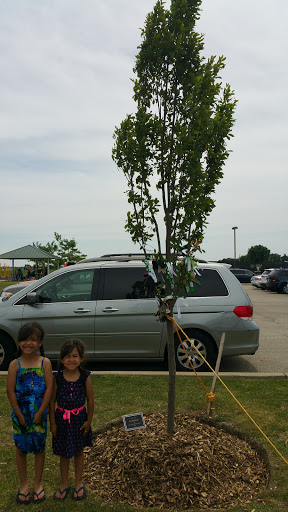 Park «Alleghany Park», reviews and photos, Cty V68, Grayslake, IL 60030, USA