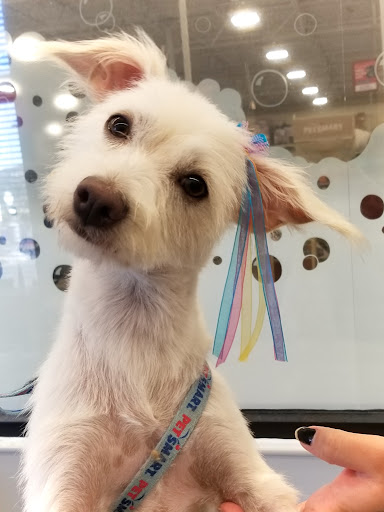 Pet Supply Store «PetSmart», reviews and photos, 450 Cochran St, Simi Valley, CA 93065, USA