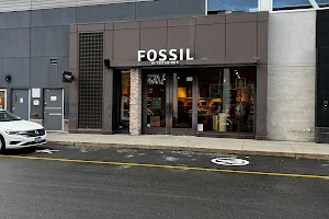 Fossil Store image