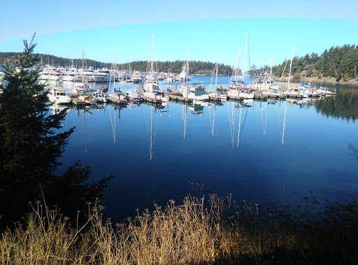 Grocery Store «Roche Harbor Grocery Store», reviews and photos, 248 Reuben Memorial Dr, Friday Harbor, WA 98250, USA