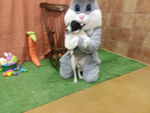 Pet Supply Store «PetSmart», reviews and photos, 5241 Monroe St, Toledo, OH 43623, USA