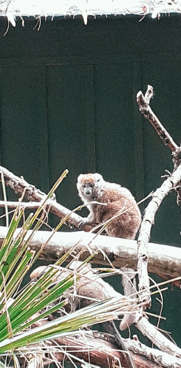 Photo n° 24 de l'avis de Ciccio.e fait le 28/07/2020 à 01:20