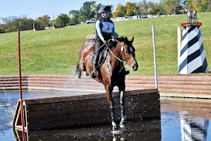 Longview Horse Park image