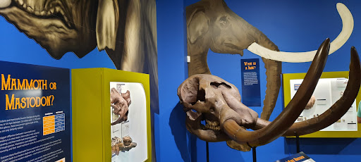 Museum «Museum», reviews and photos, 2142 Southern Dr, Statesboro, GA 30458, USA