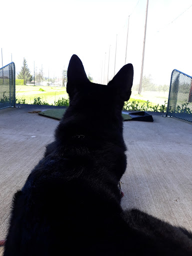 Golf Course «Alderbrook Golf Course», reviews and photos, 7300 Alderbrook Rd, Tillamook, OR 97141, USA