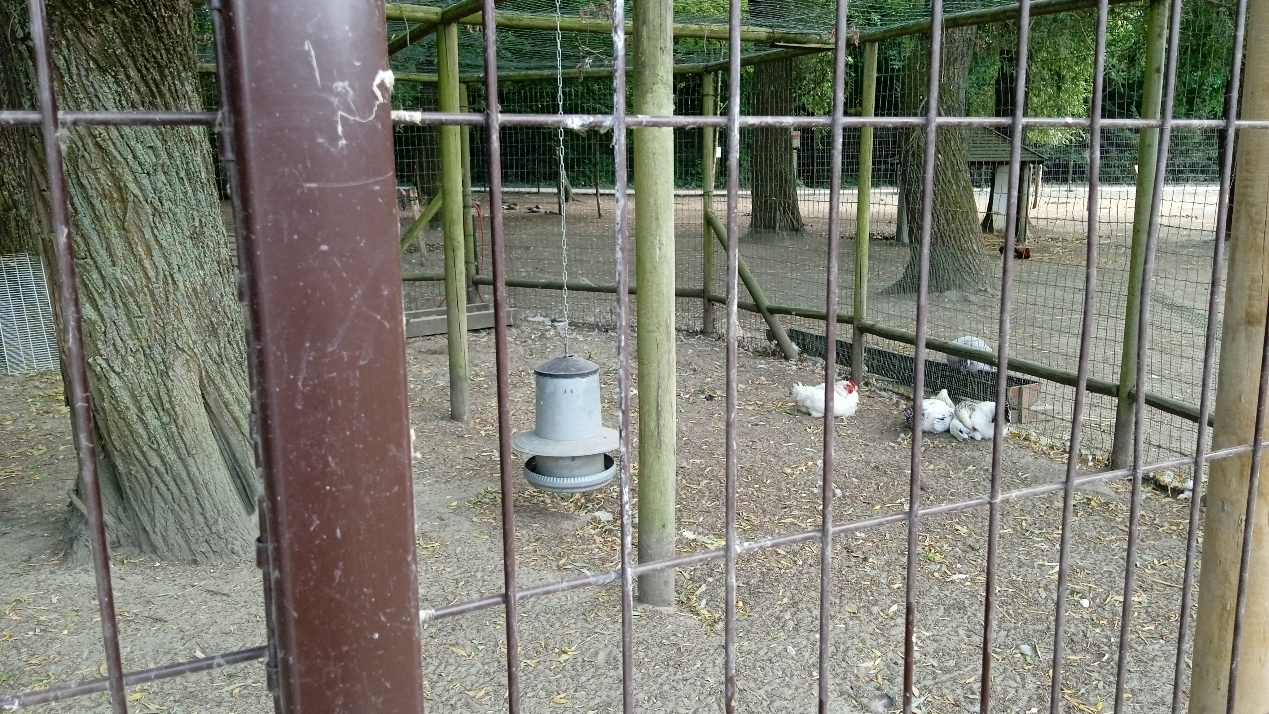 Photo n° 18 de l'avis de Phillipe.a fait le 15/08/2022 à 15:48