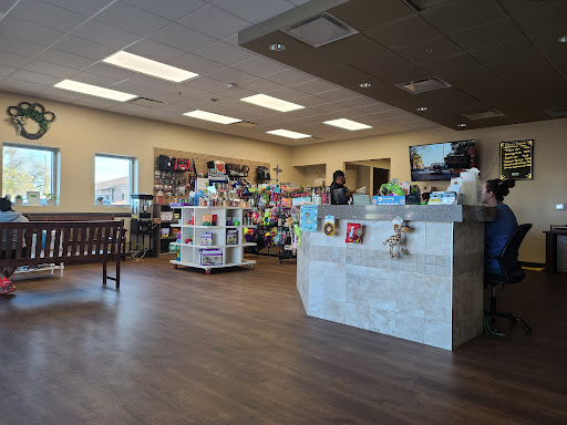 Animal Hospital «Animal Medical Corpus Christi», reviews and photos, 6822 Everhart Rd, Corpus Christi, TX 78413, USA