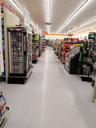 Discount Store «Big Lots», reviews and photos, 843 W Bloomingdale Ave, Brandon, FL 33511, USA