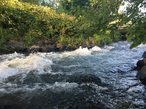 Real Estate Agency «Key Realty Group Inc - Eugene Oregon Real Estate Agency», reviews and photos, 627 Country Club Rd, Eugene, OR 97401, USA