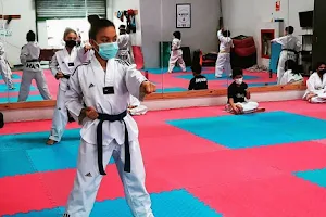 Escuela Taekwondo Panama image
